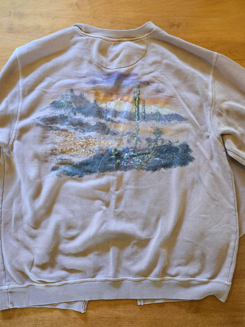 Men's Beige Cardigan Sweater with Painted Desert Back